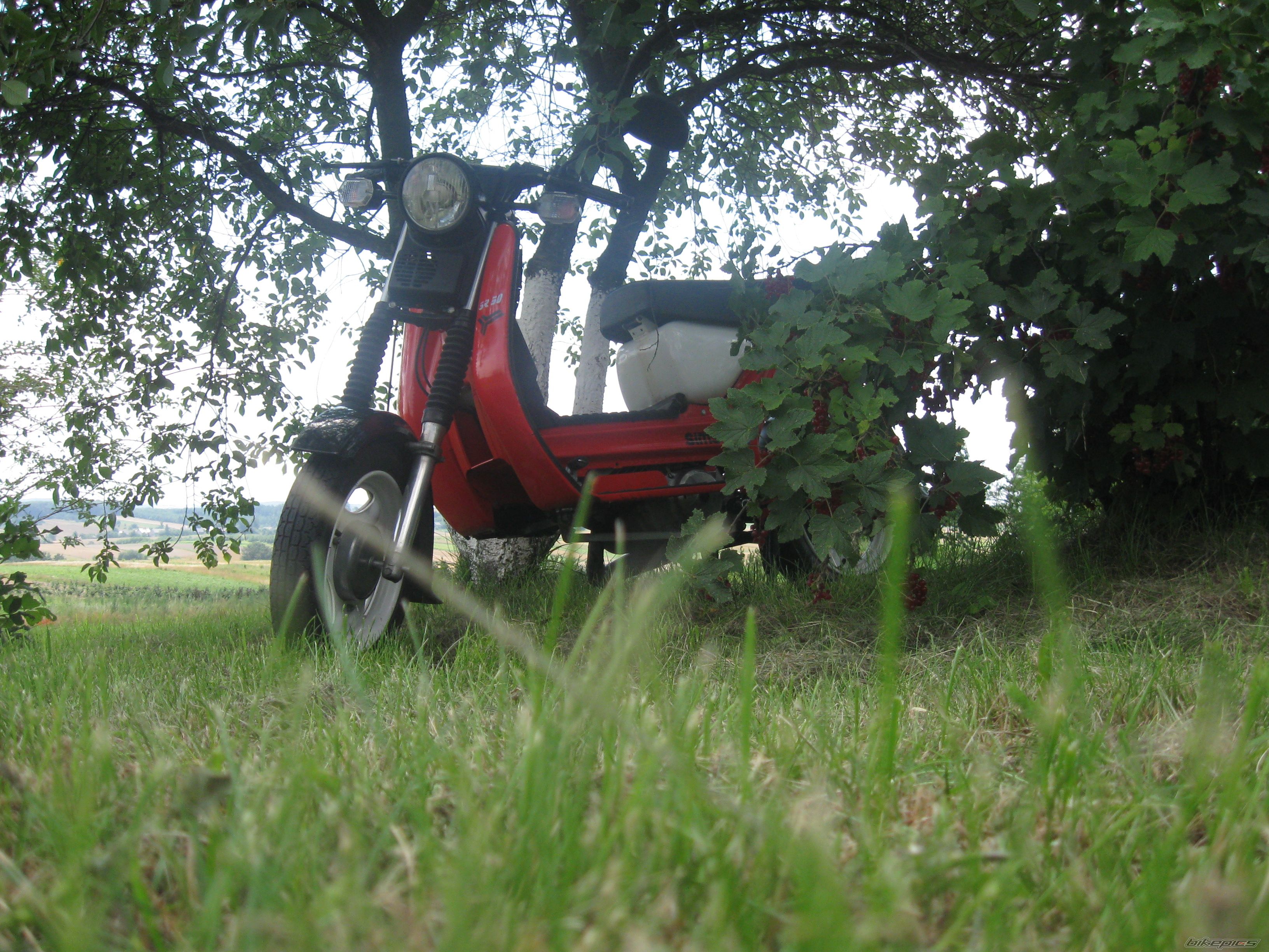 Photo 2242579