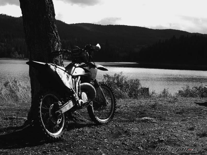 Photo 224259