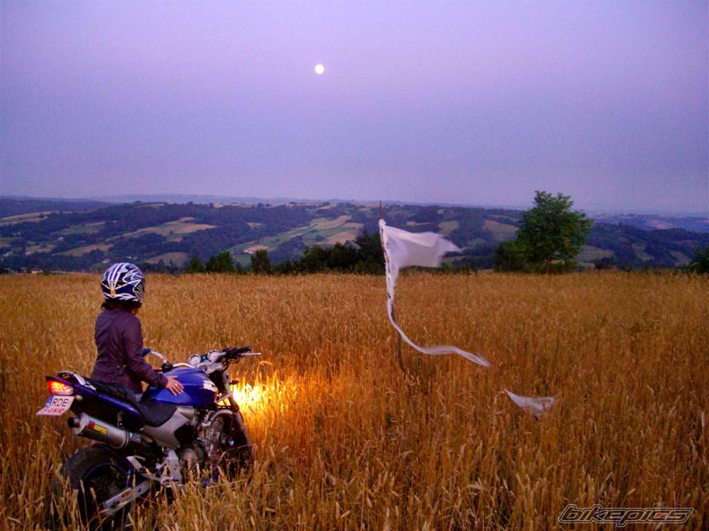 Photo 2242711