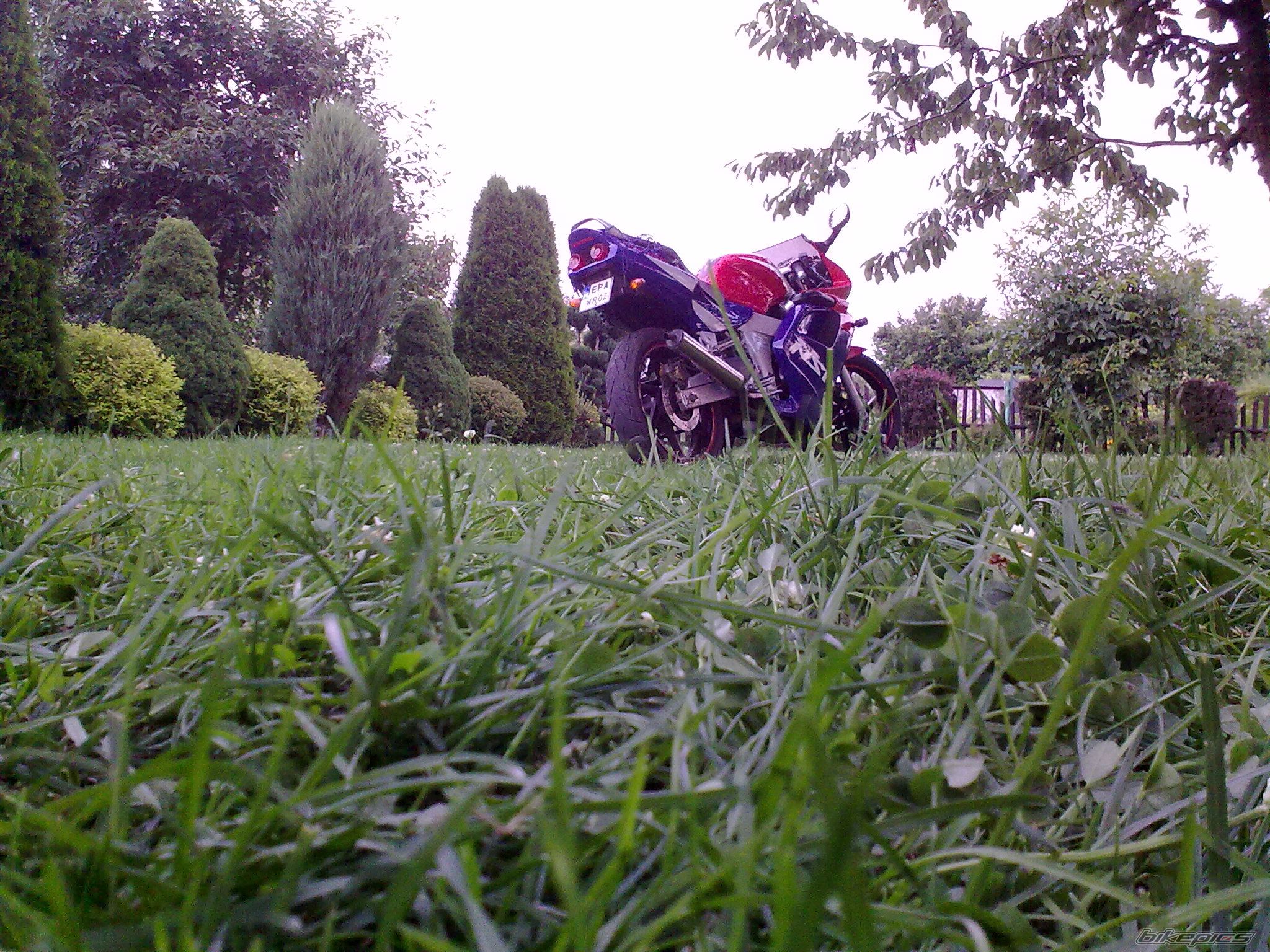 Photo 2242806