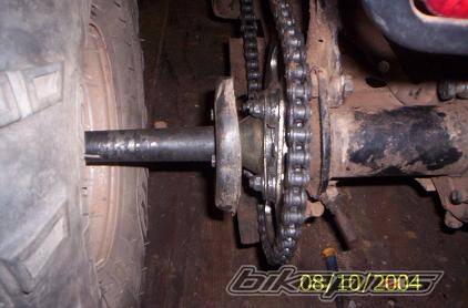 Photo 224295