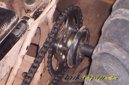 Photo 224296