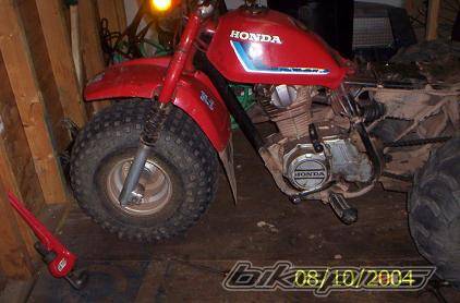 Photo 224298