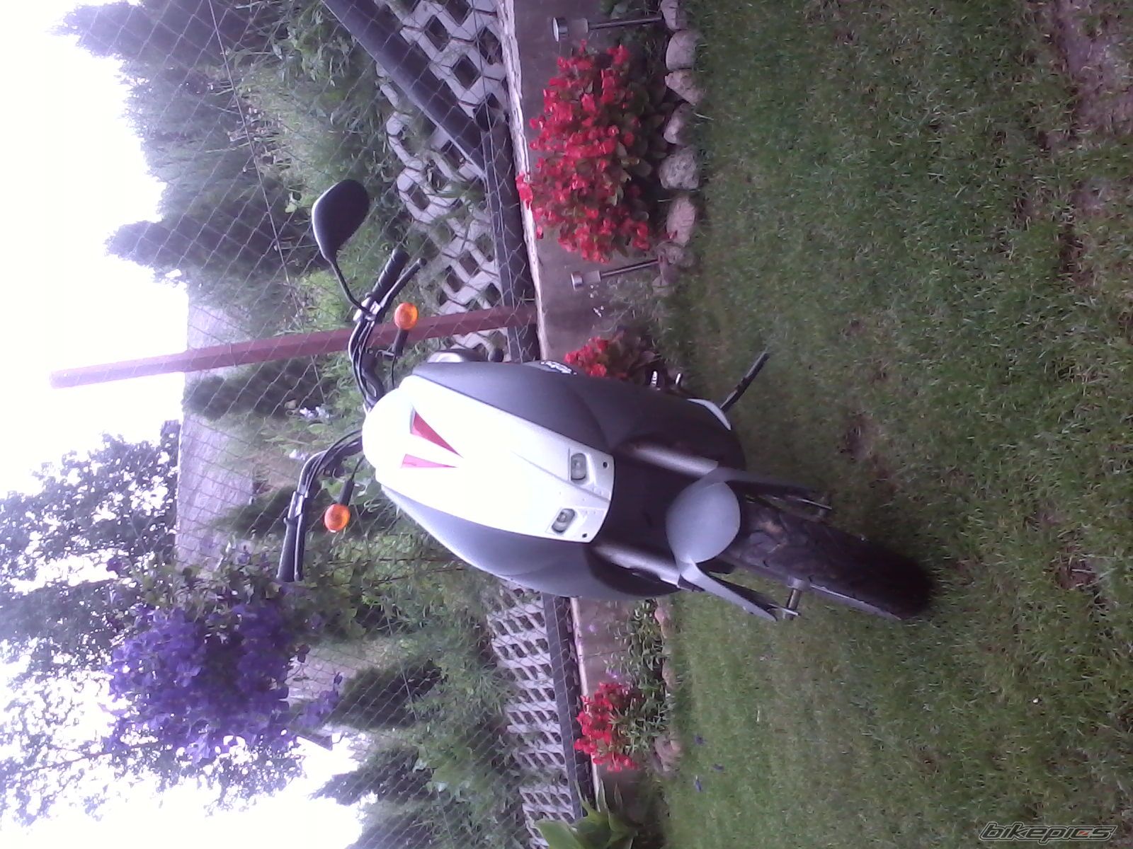Bike Photo 2242997