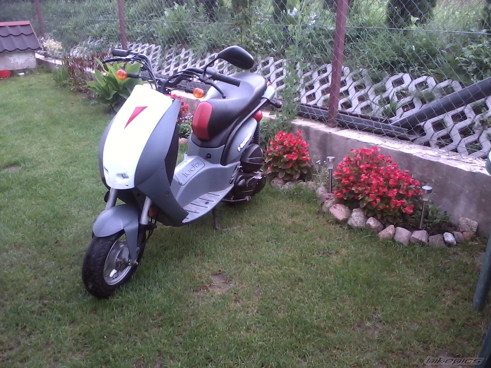 Bike Photo 2243001