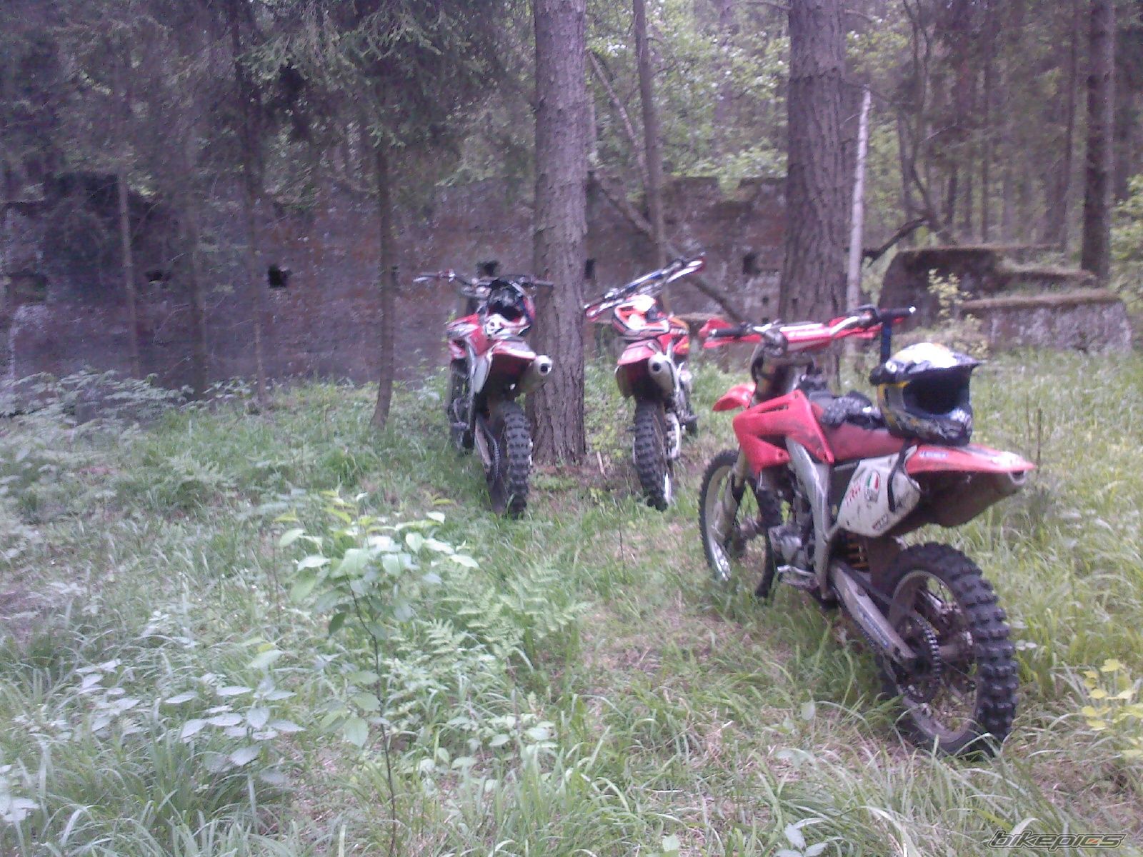 Photo 2243029