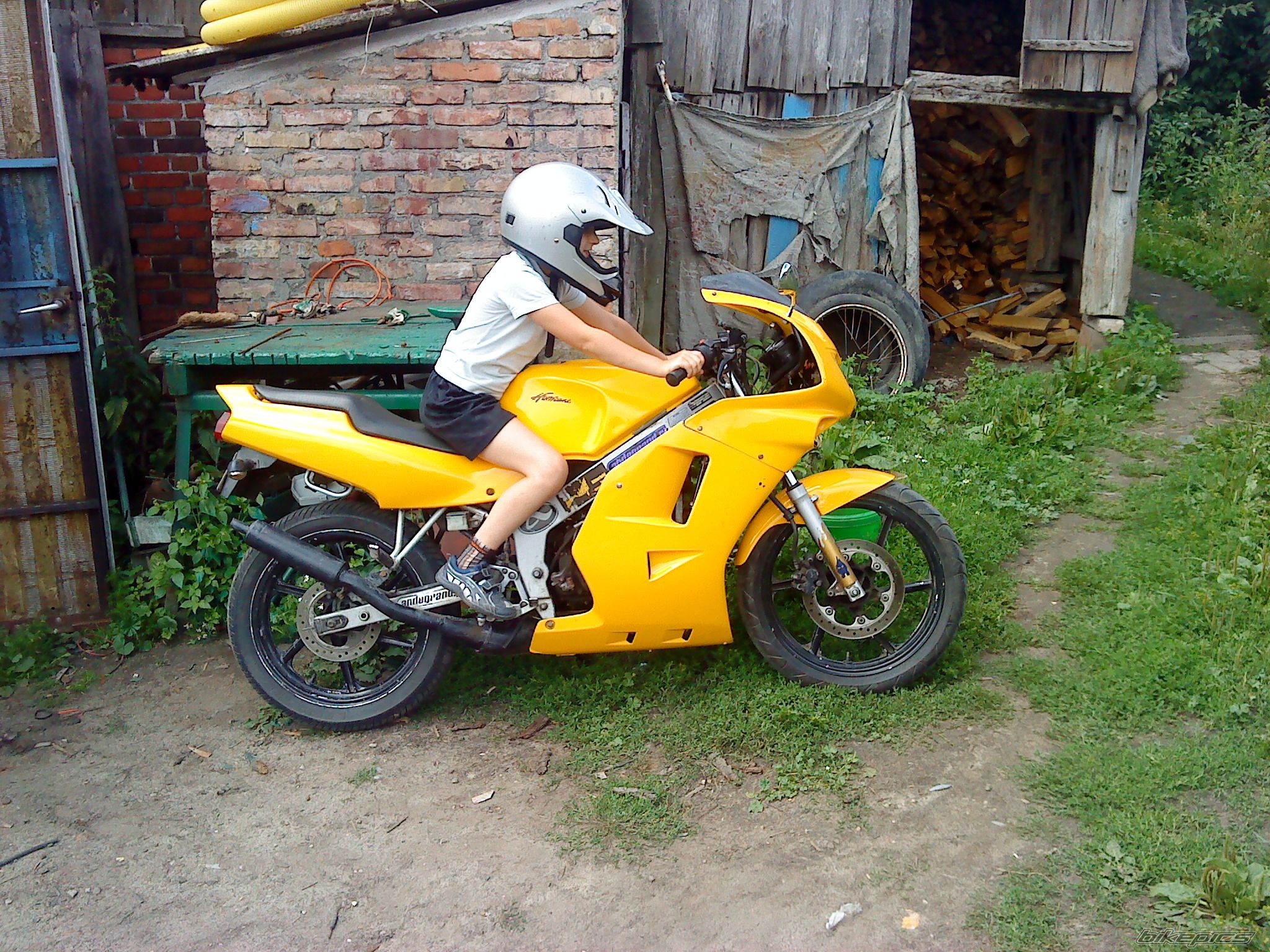Photo 2243308
