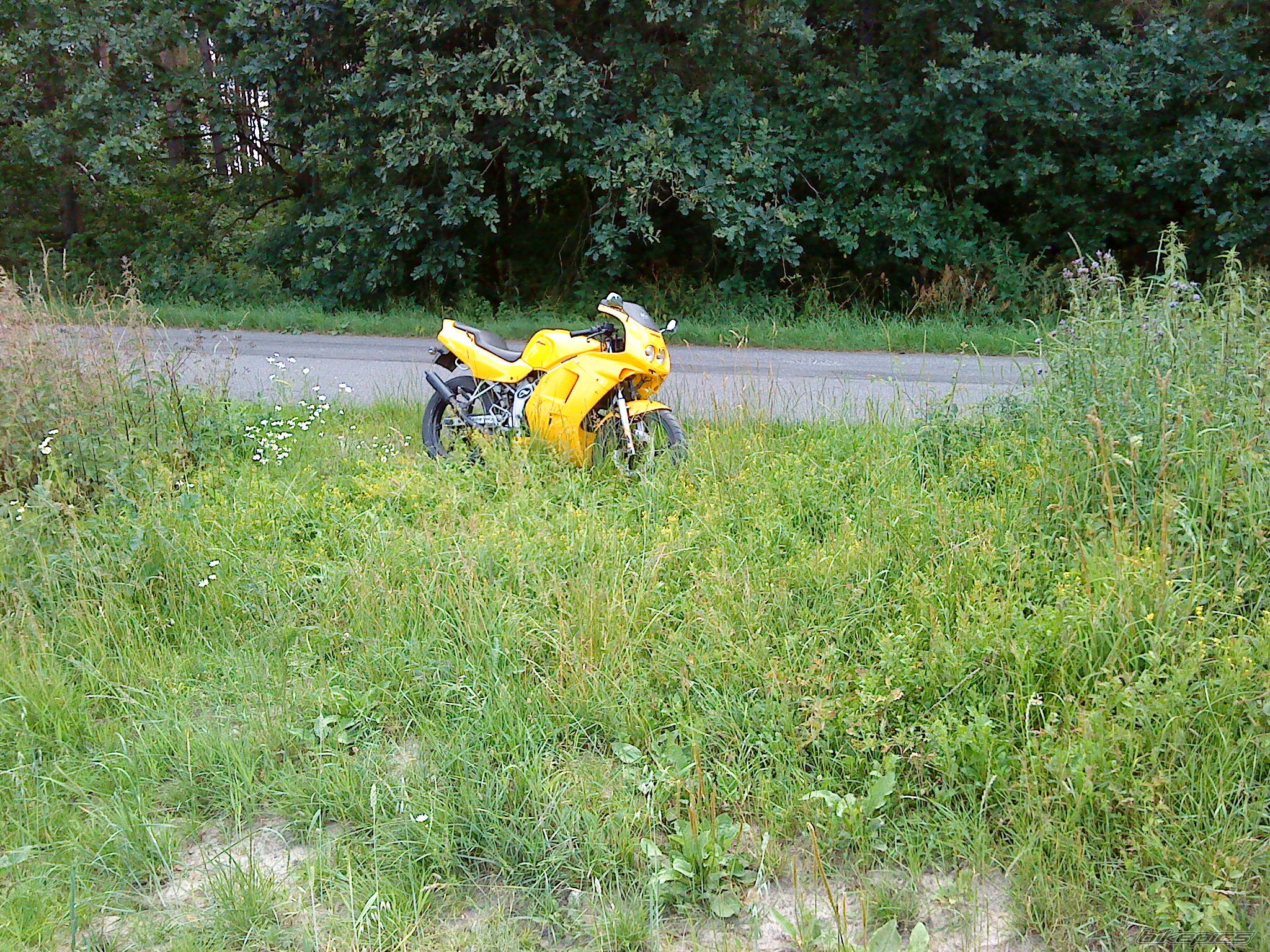 Photo 2243325