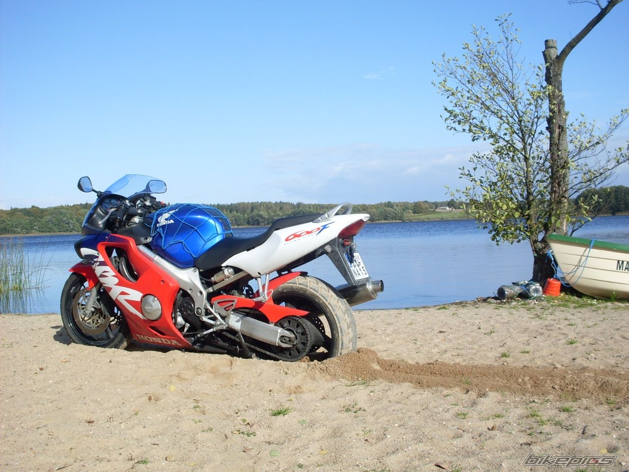 Photo 2243381