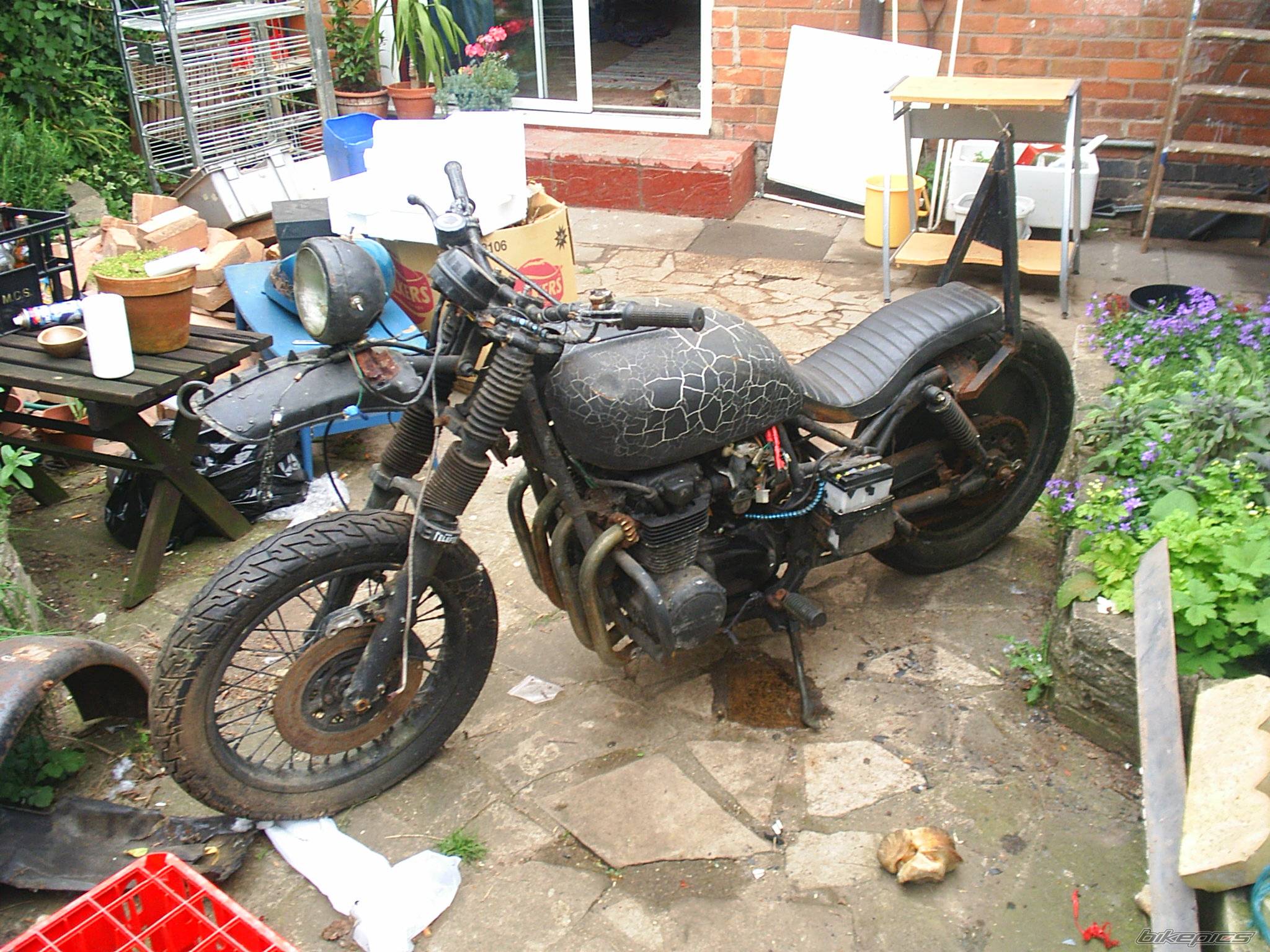 Photo 224341