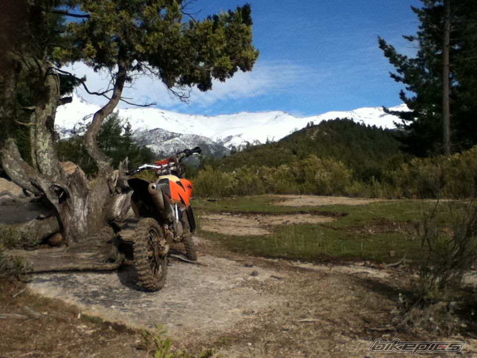 Photo 2243542