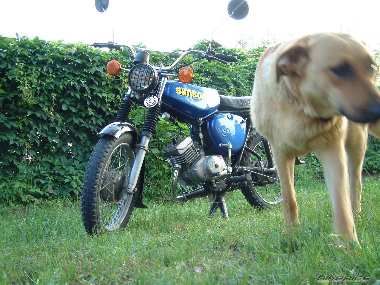 Photo 224373