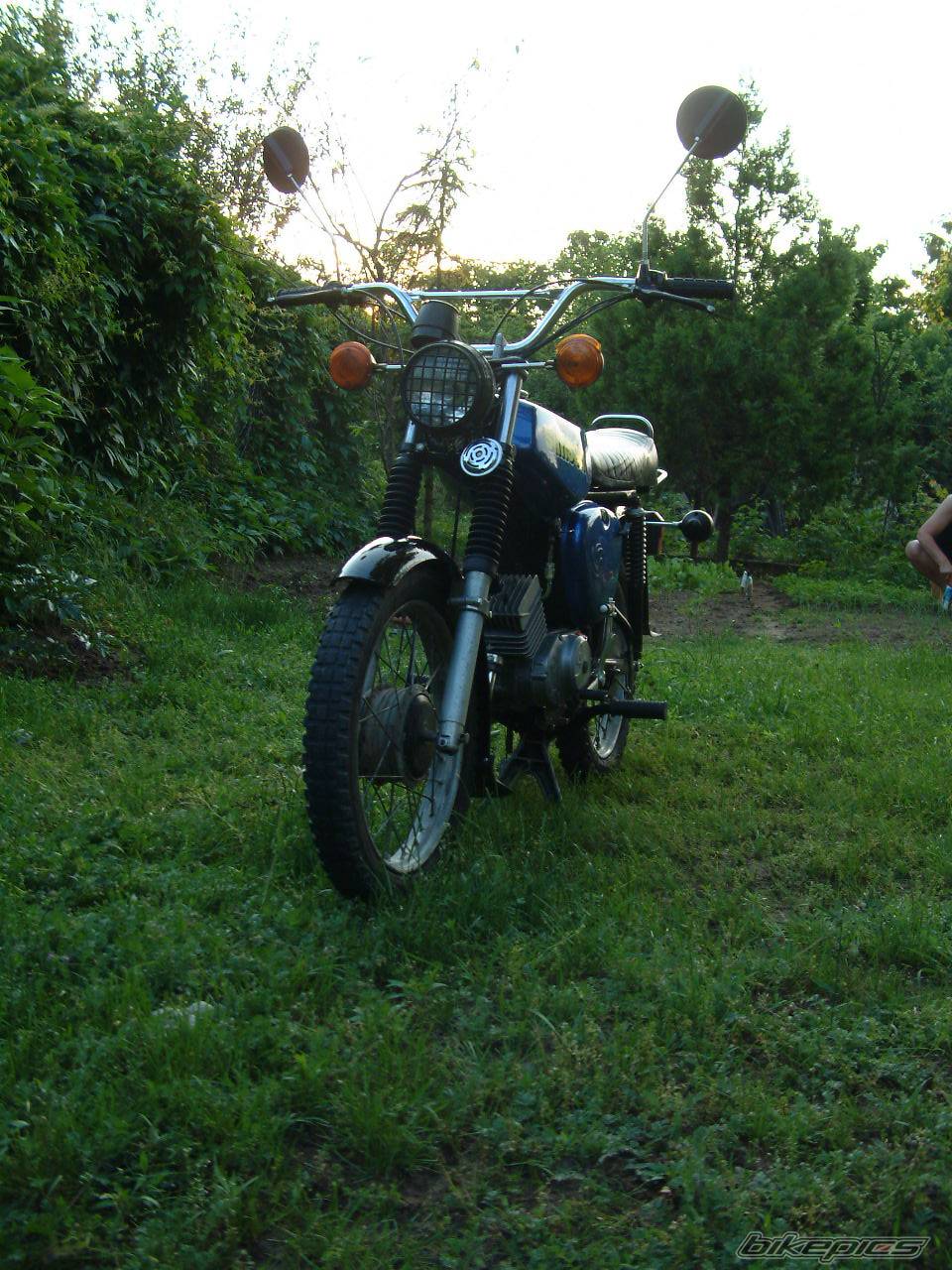 Photo 224375