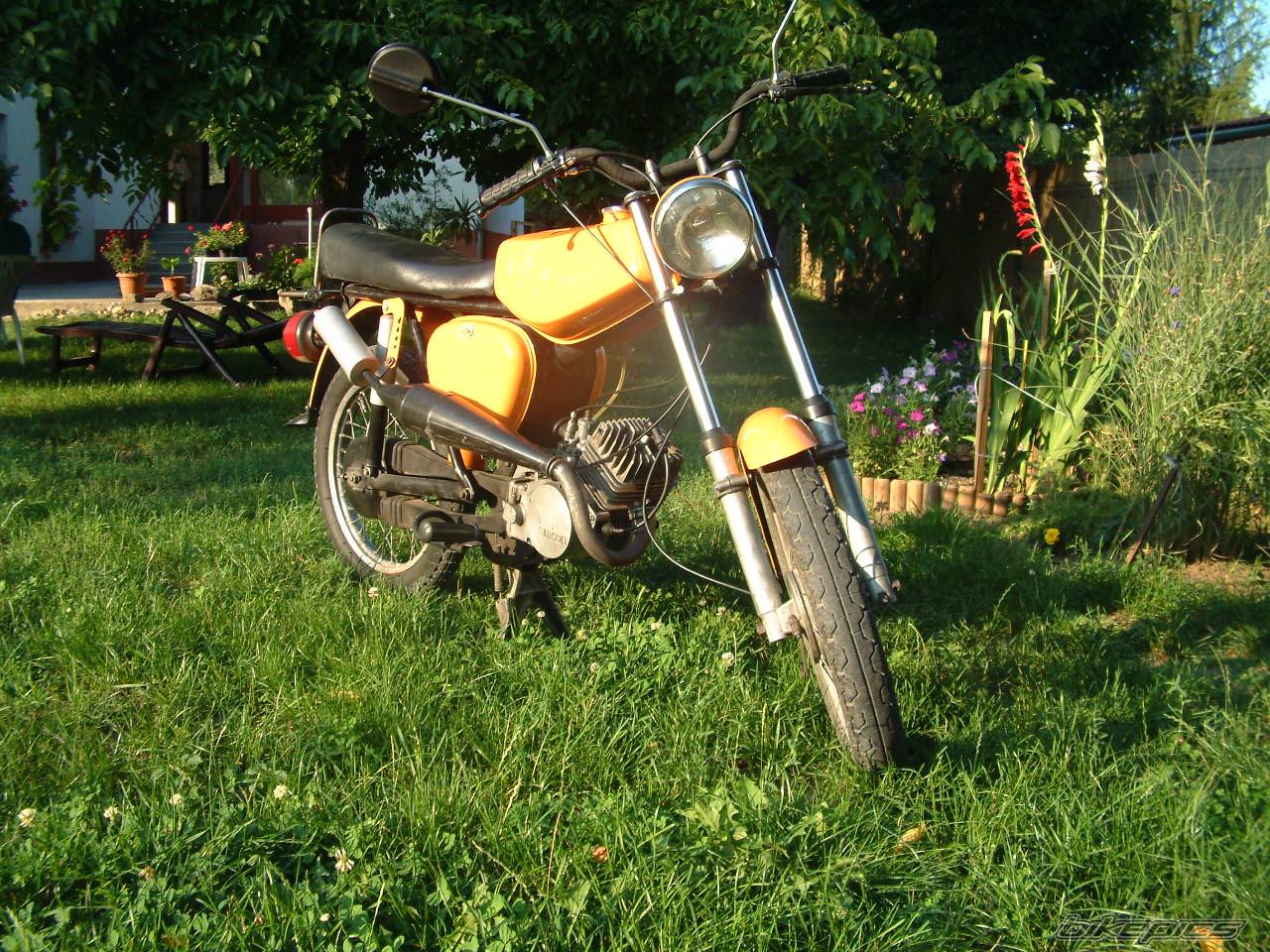 Photo 224390