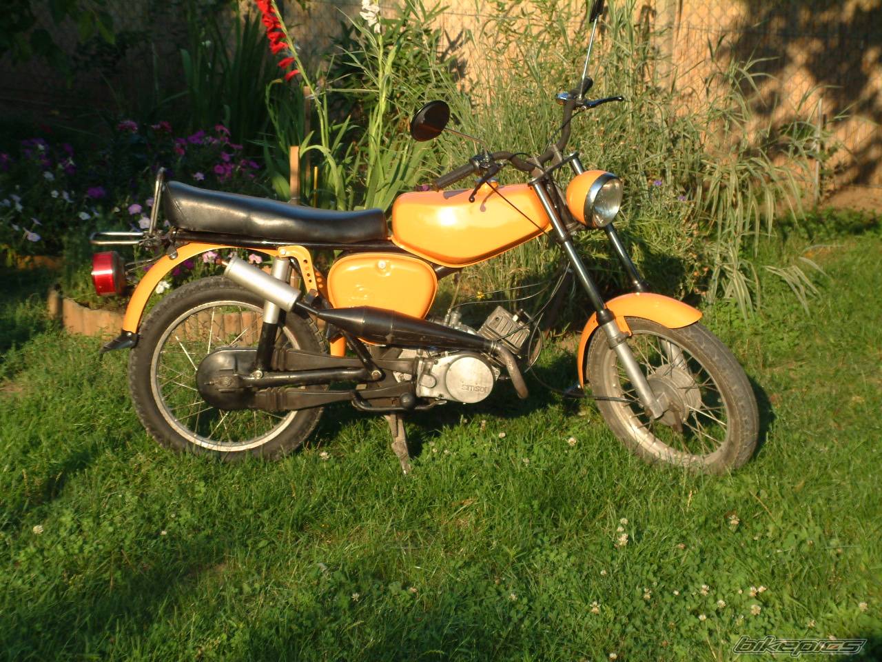 Photo 224394