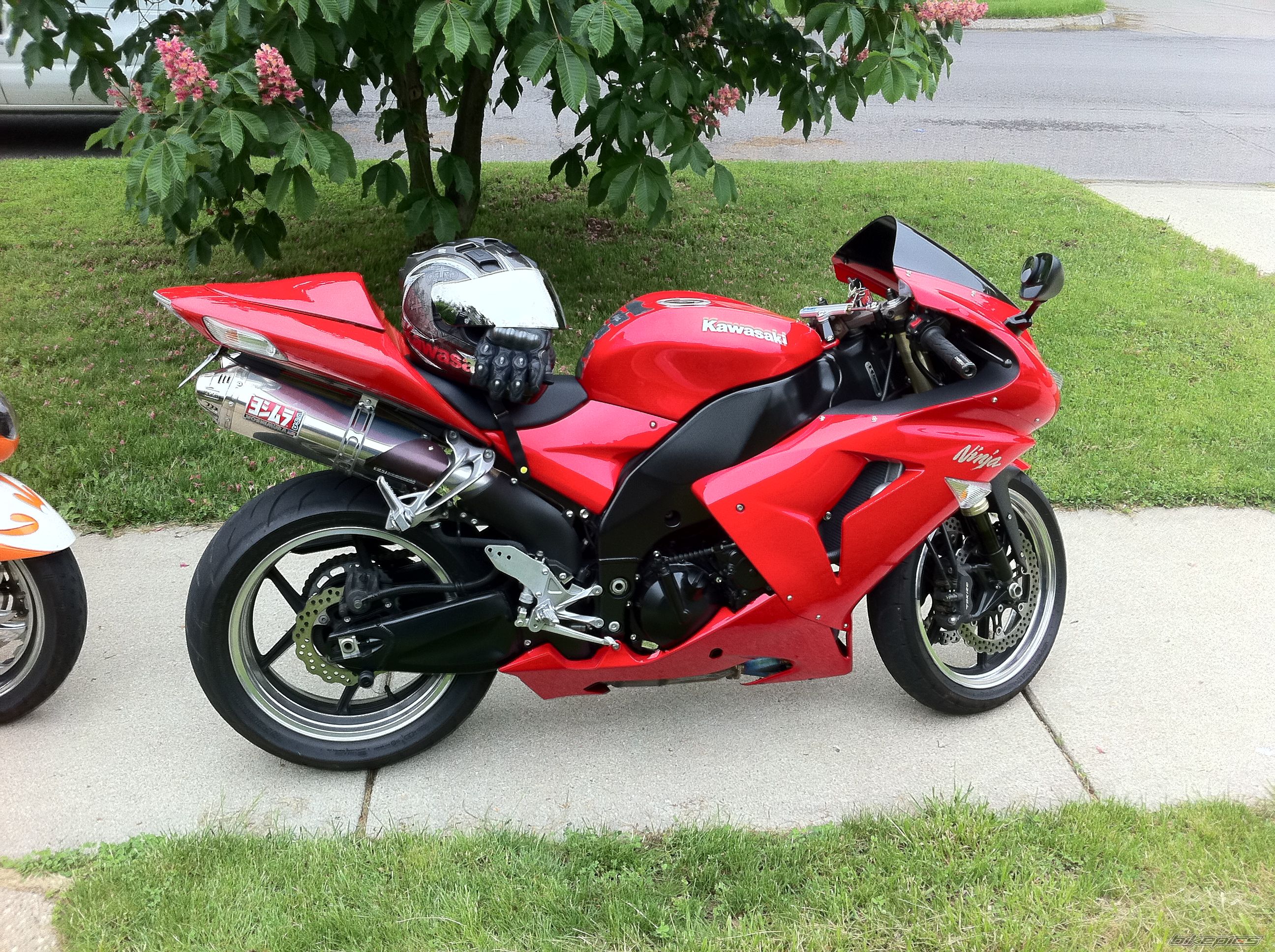 Photo 2244114