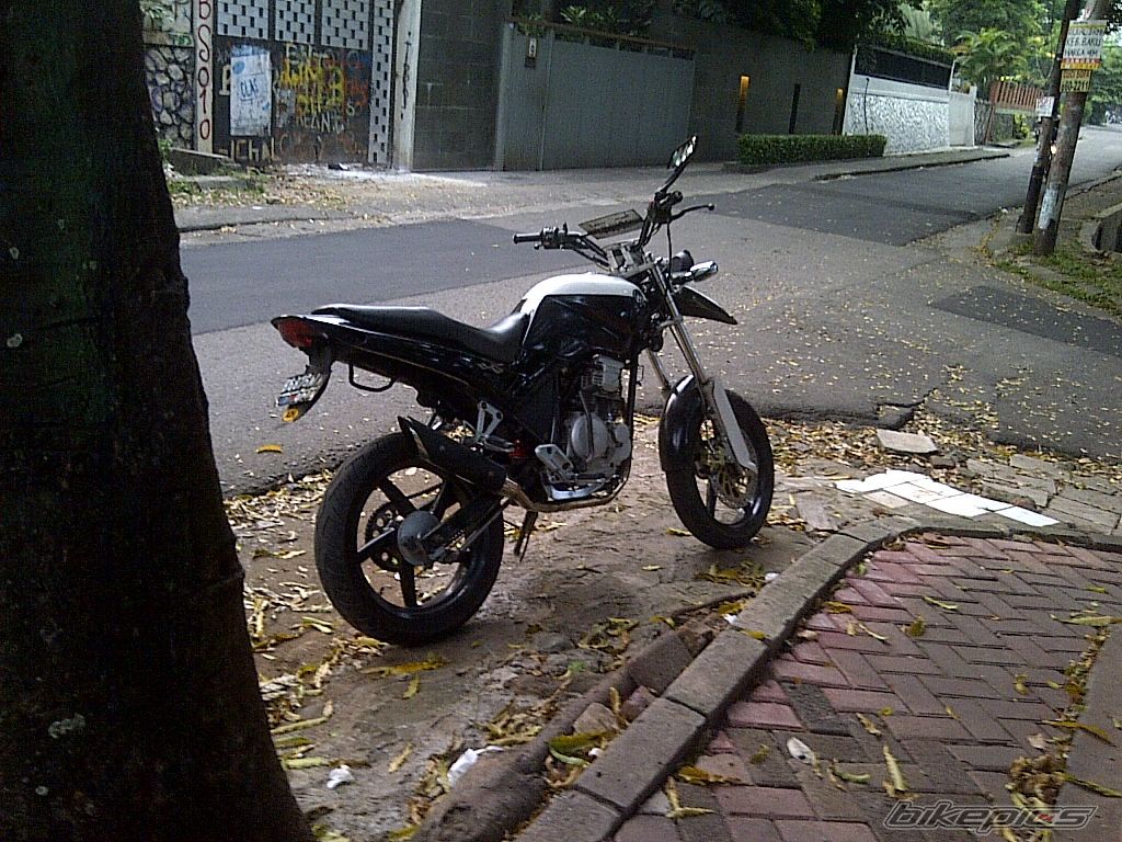 Photo 2244139