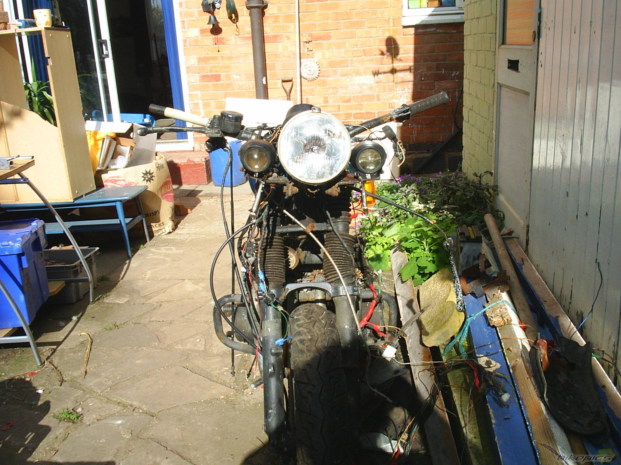 Photo 224415