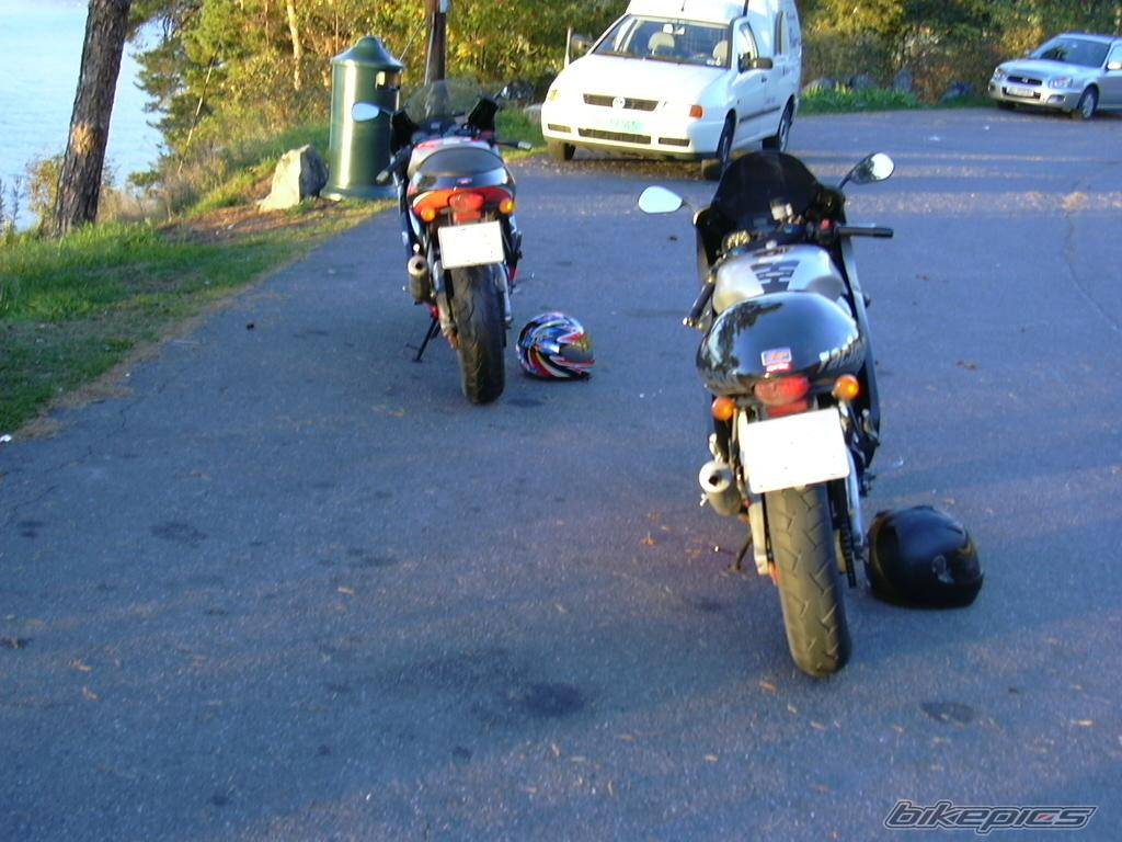 Photo 224421