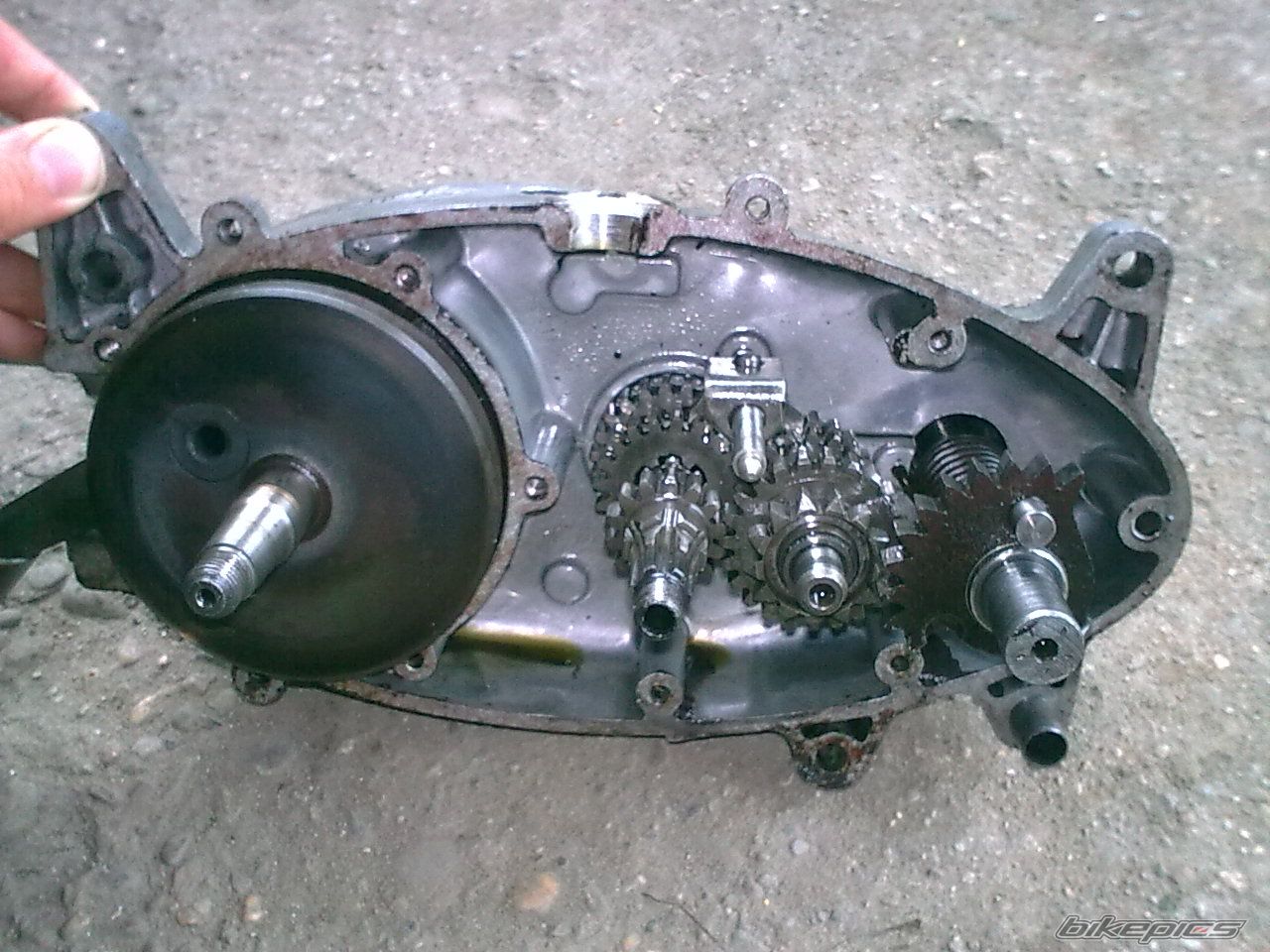 Photo 2244283