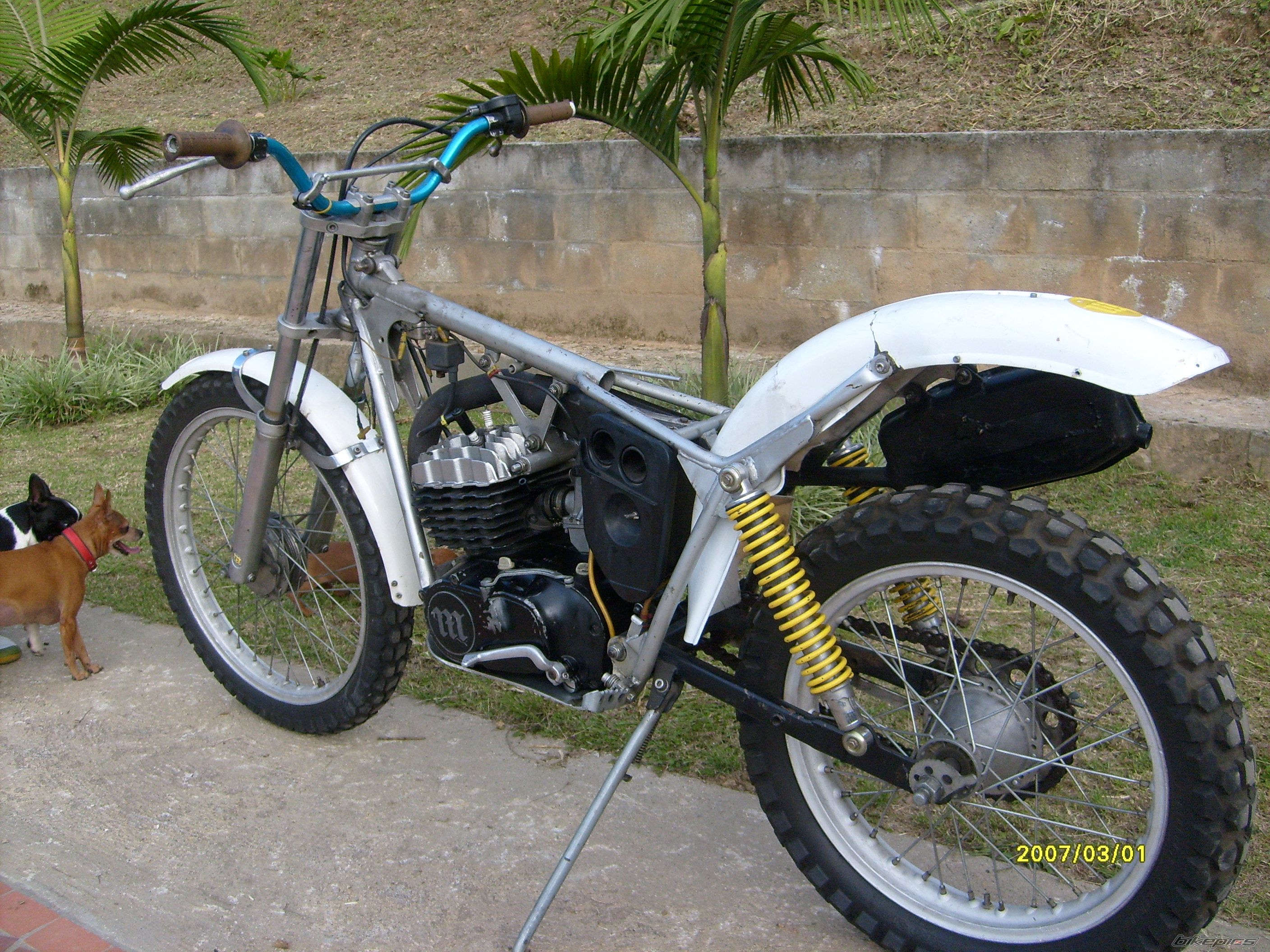 Photo 2244448