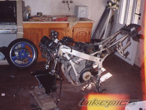 Photo 224449