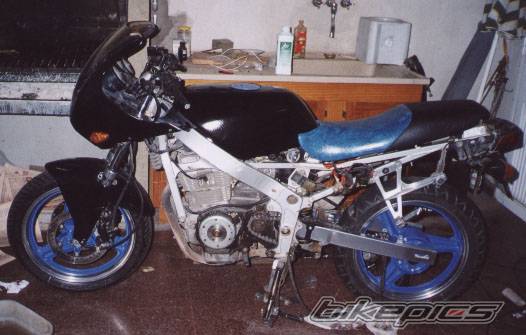 Photo 224450