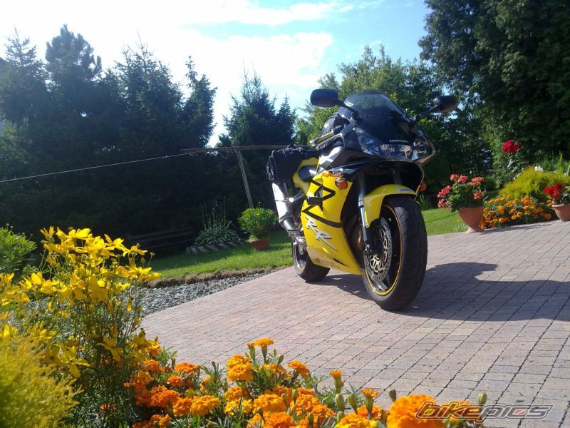 Photo 2244654