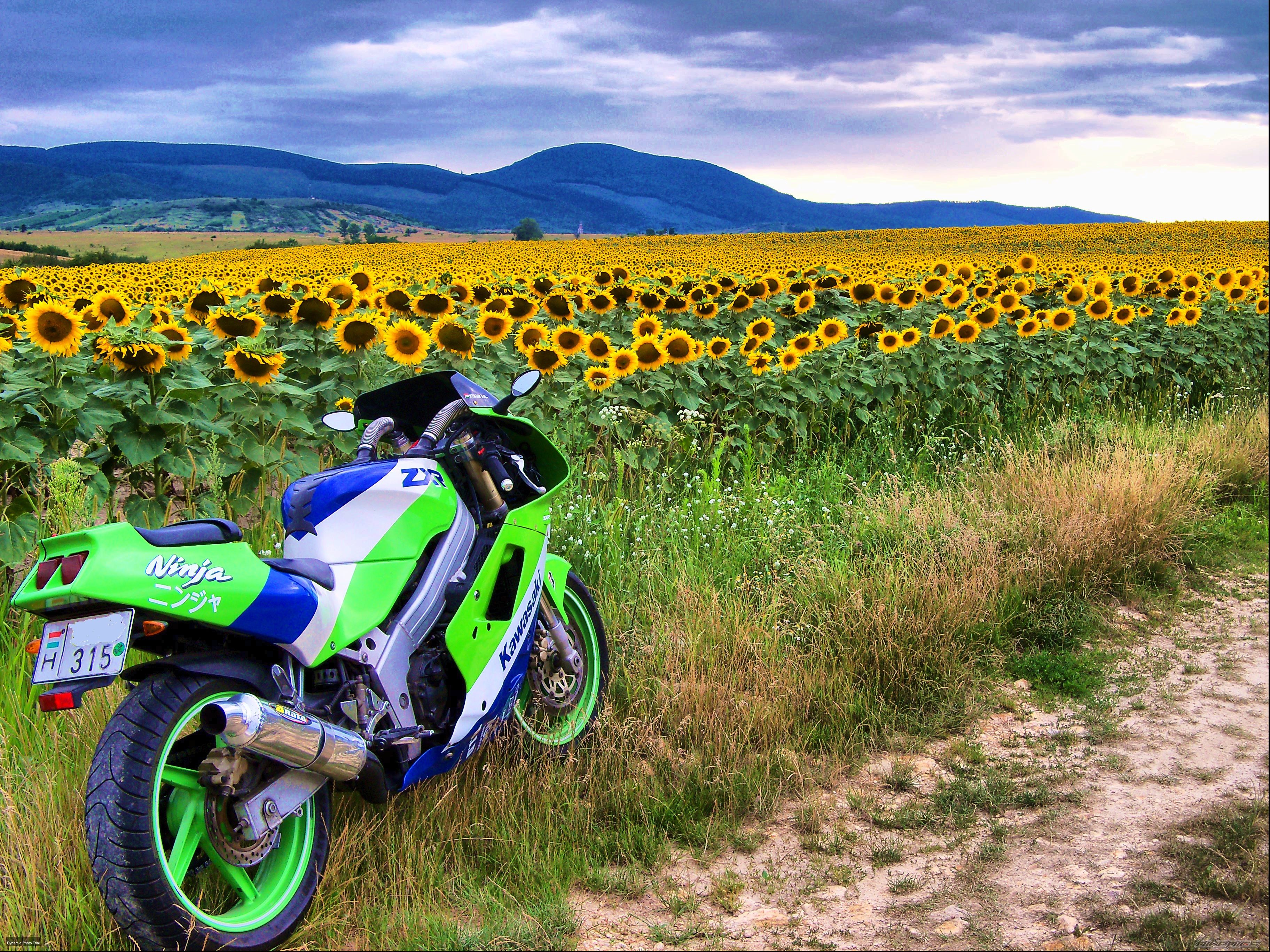 Bike Photo 2244673