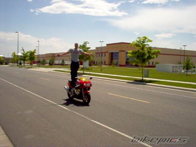 Photo 224468