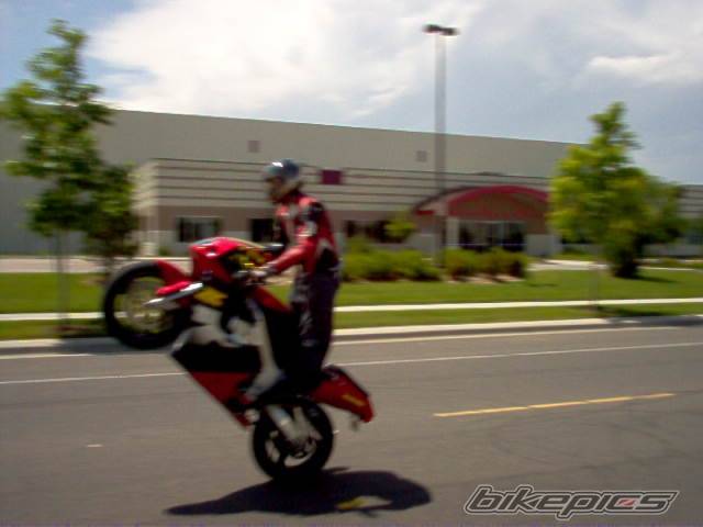 Photo 224471