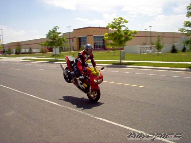 Photo 224472
