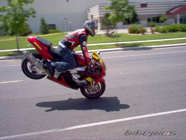 Photo 224473