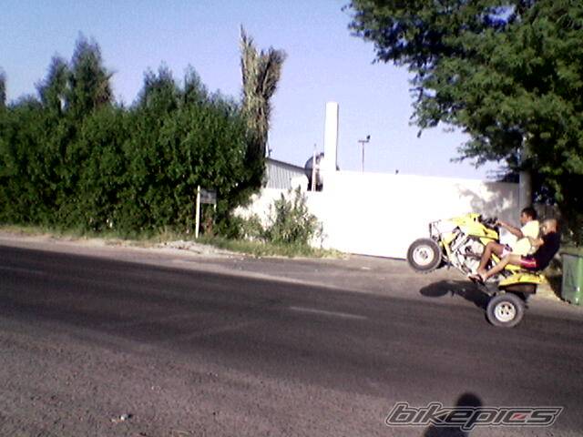 Photo 224477