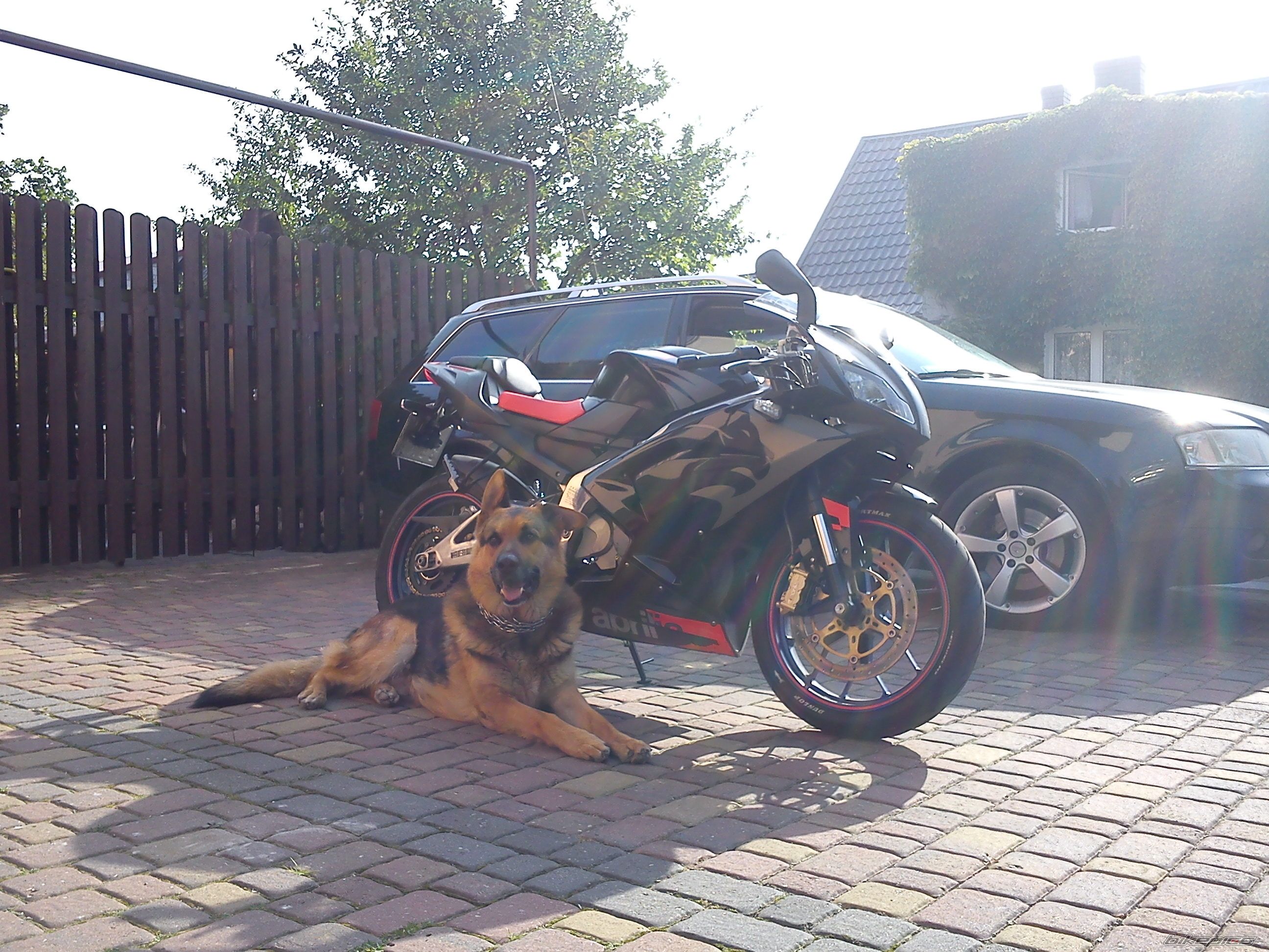 Bike Photo 2244827
