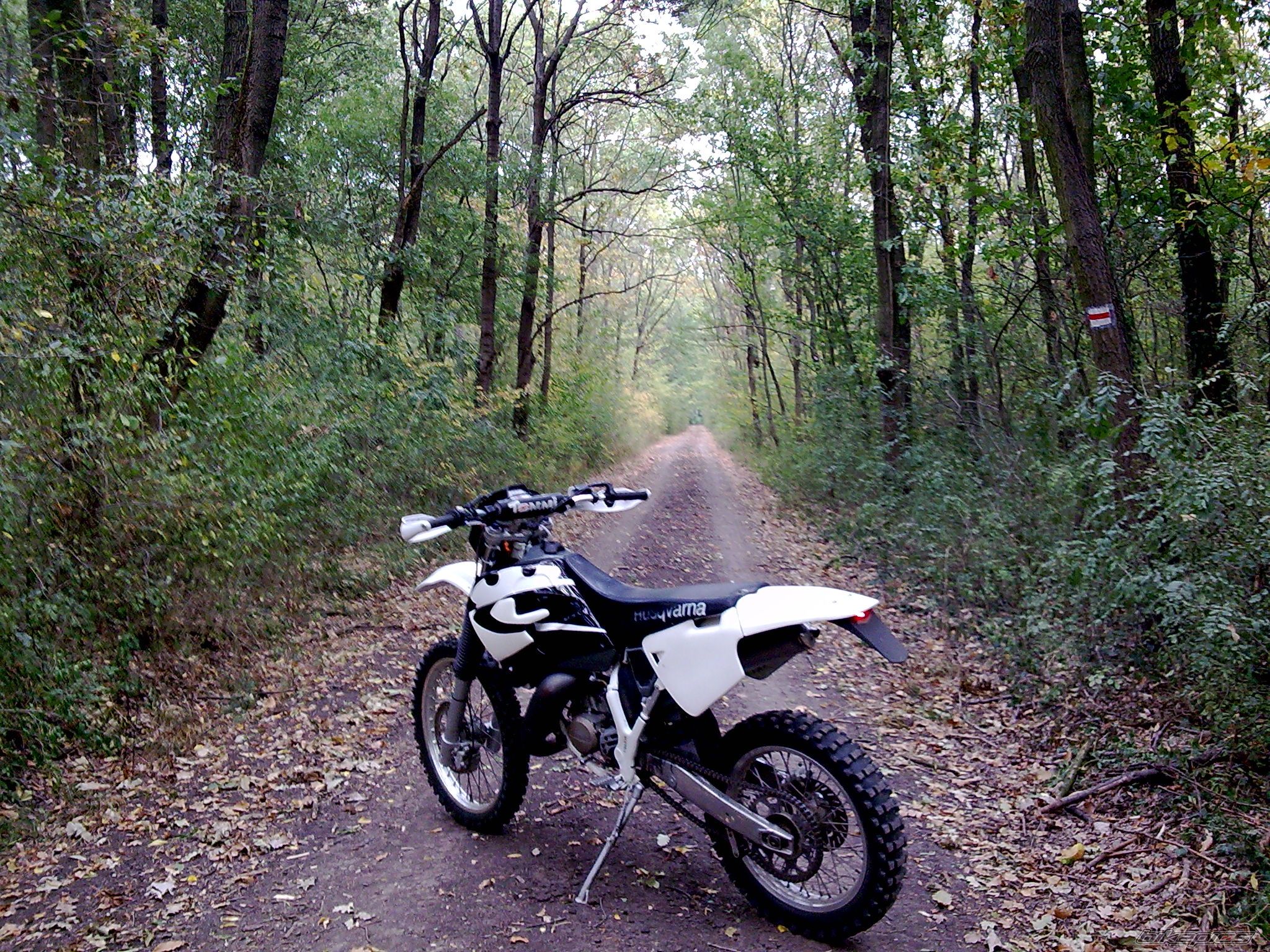 Photo 2244870