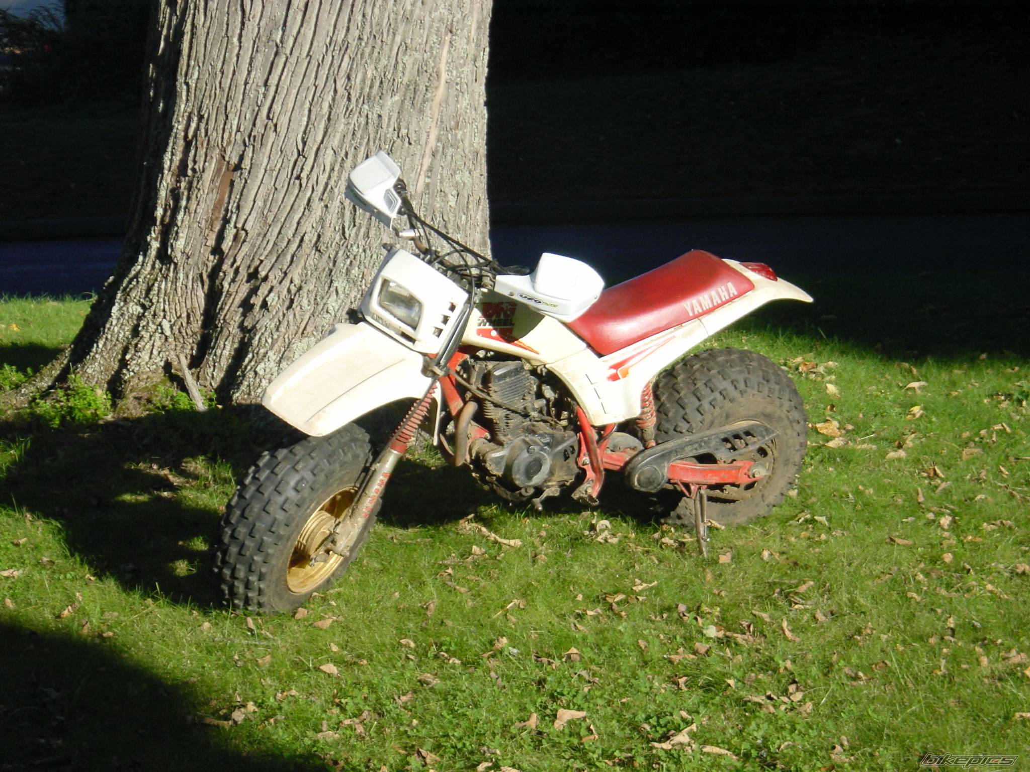Bike Photo 224490