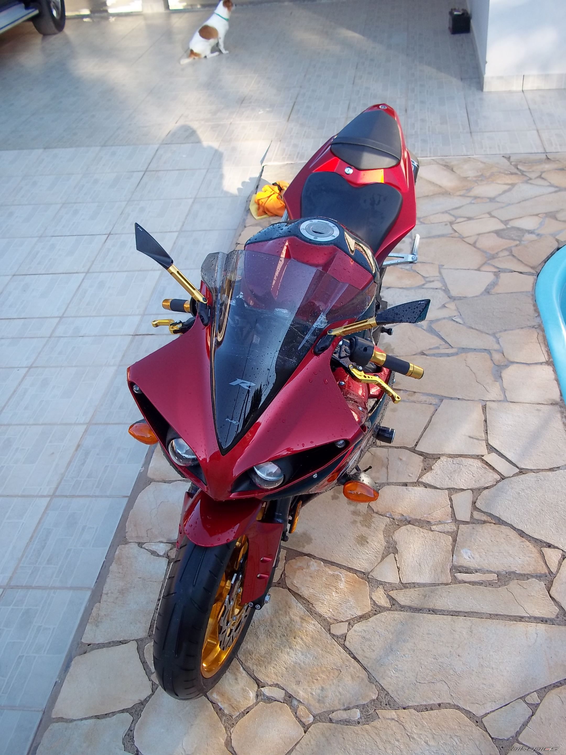 Photo 2244941