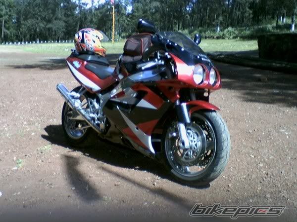 Photo 2245112