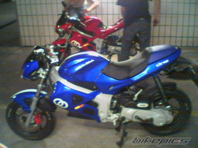 Photo 224519