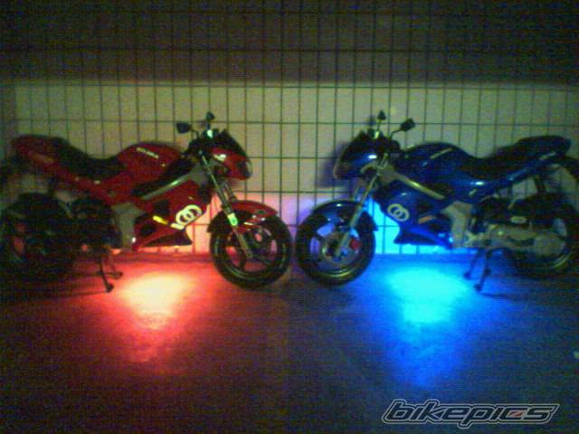 Photo 224520