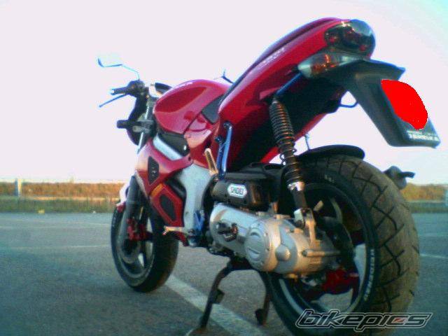 Photo 224525