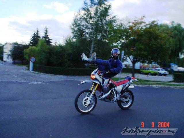 Bike Photo 224530