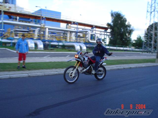 Photo 224531