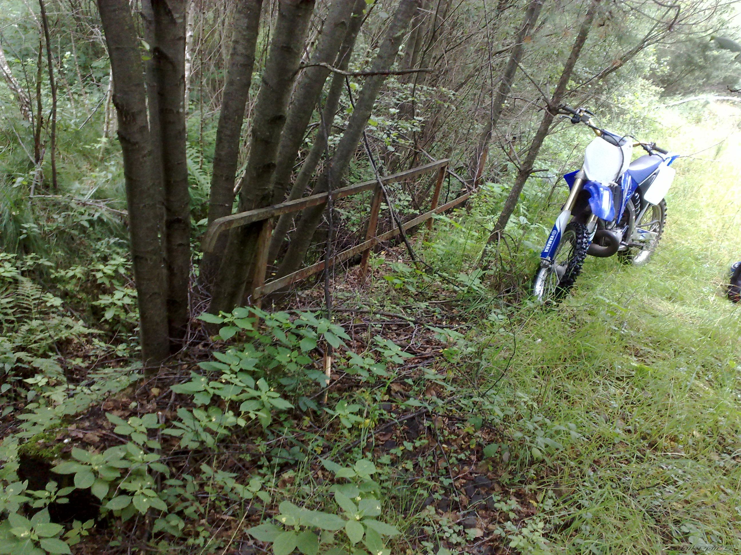 Photo 2245380