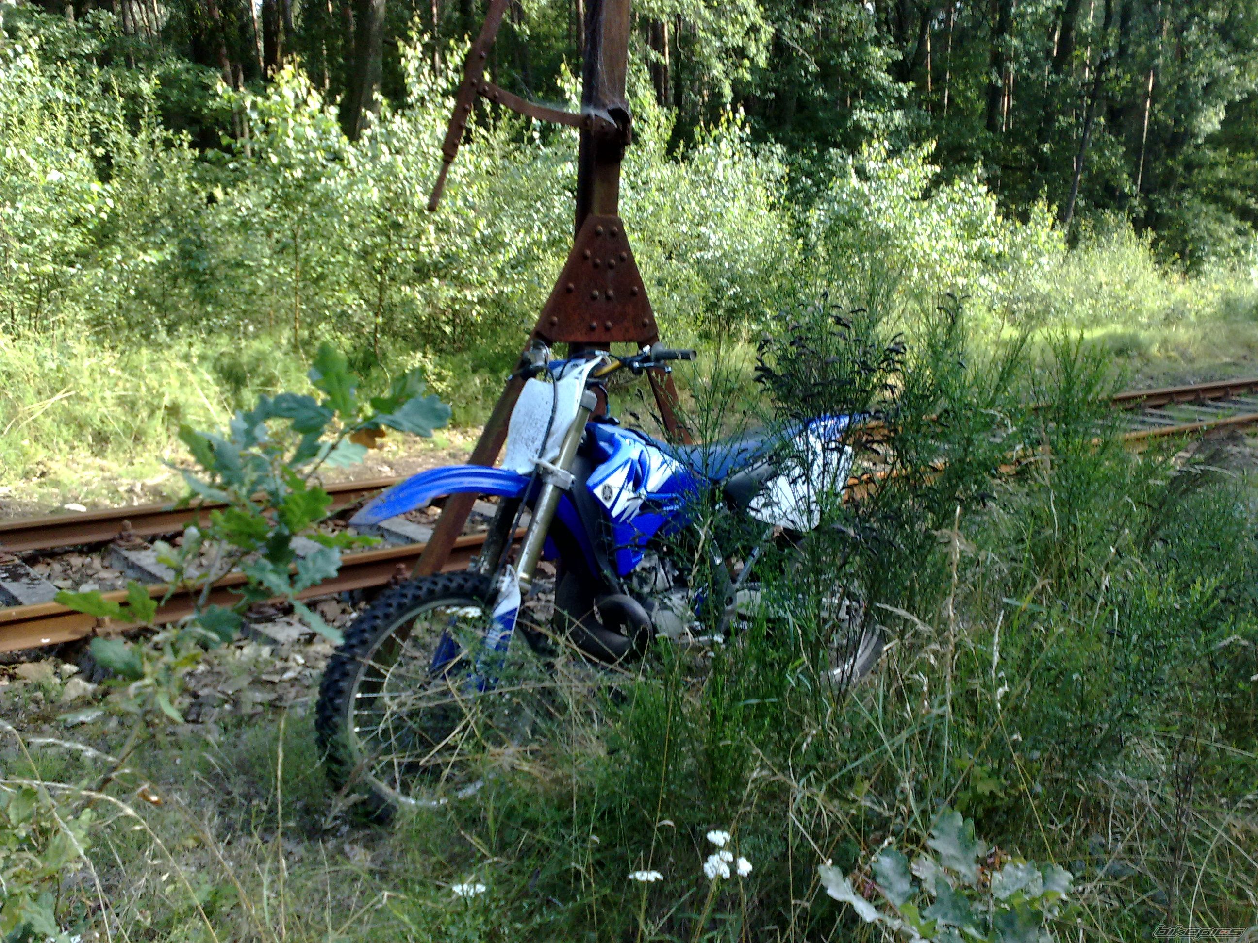 Photo 2245383