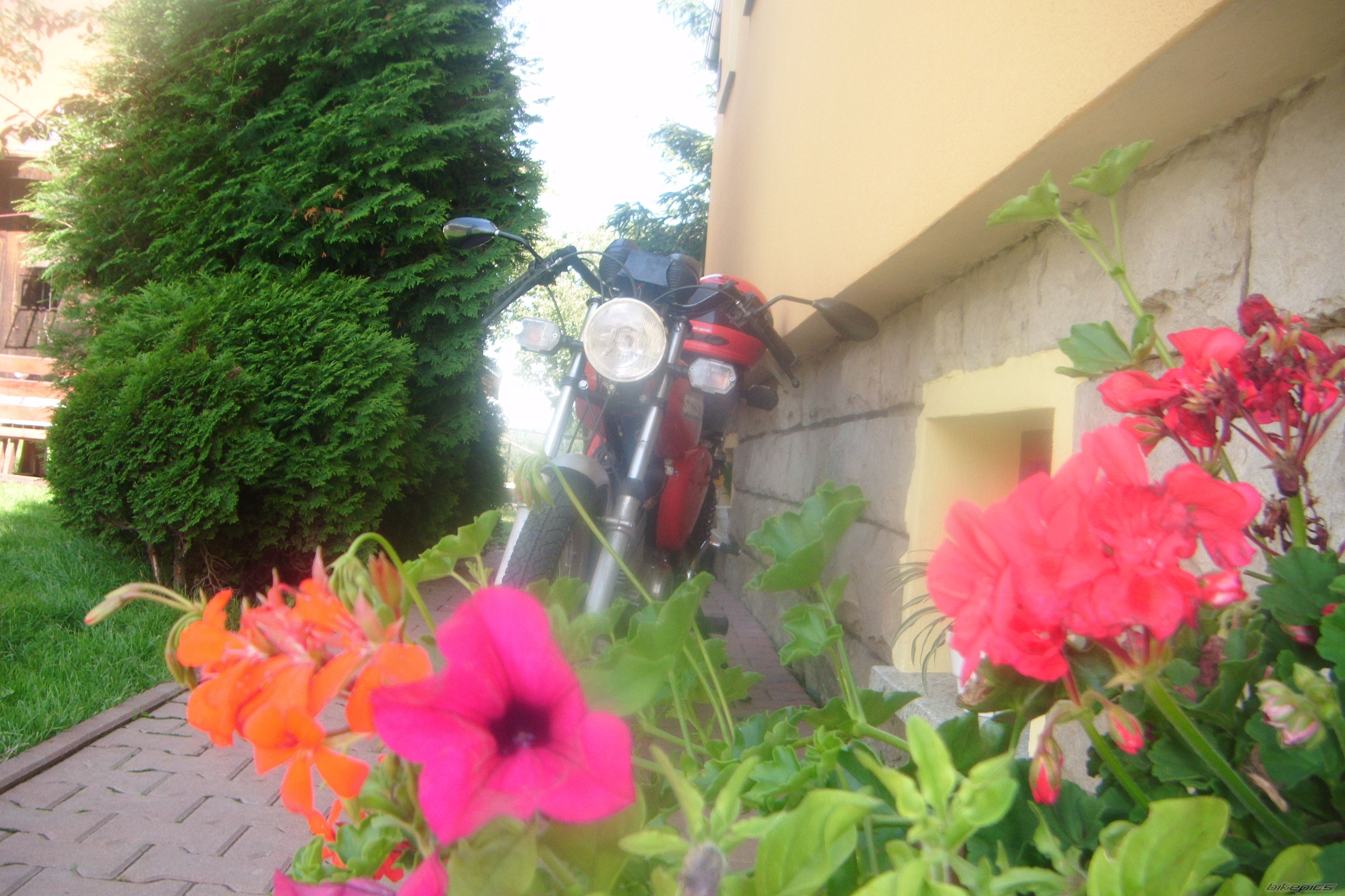 Photo 2245395