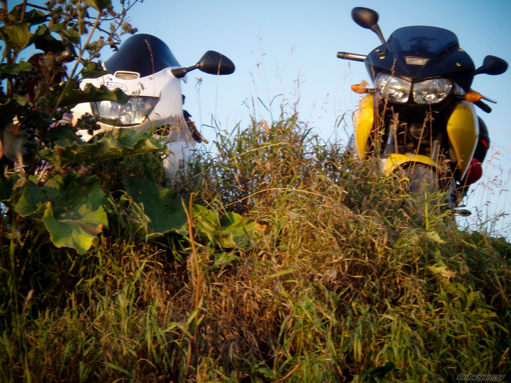 Photo 2245511