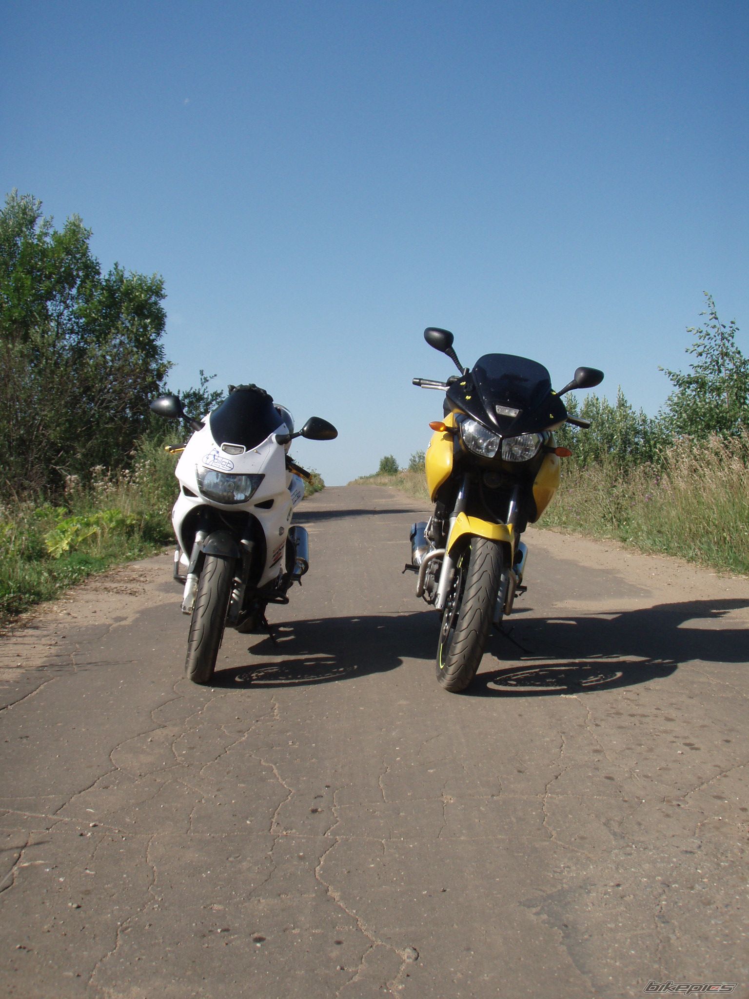 Photo 2245513