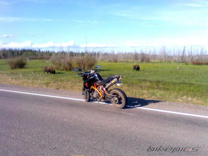 Bike Photo 2245540